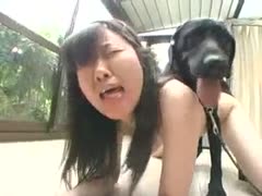 The dog gives the Asian teenager fuck it.